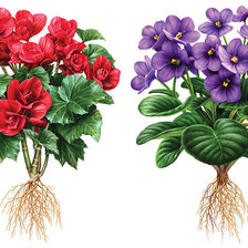 Схема вышивки «№1620366»