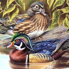 Схема вышивки «утки мандаринки»