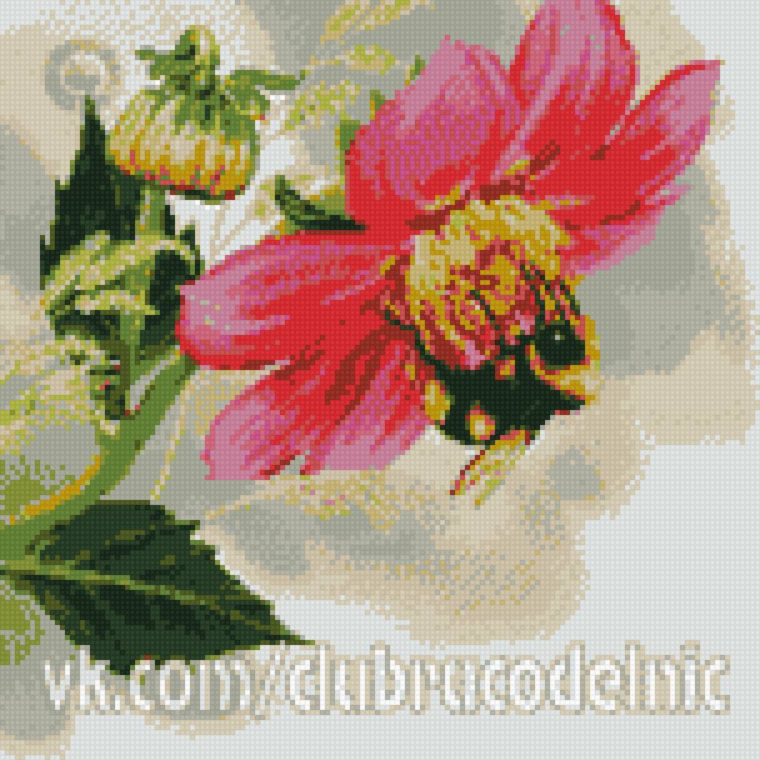 георгин - шмель, природа - предпросмотр