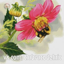Схема вышивки «георгин»