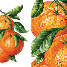 Схема вышивки «№1620494»