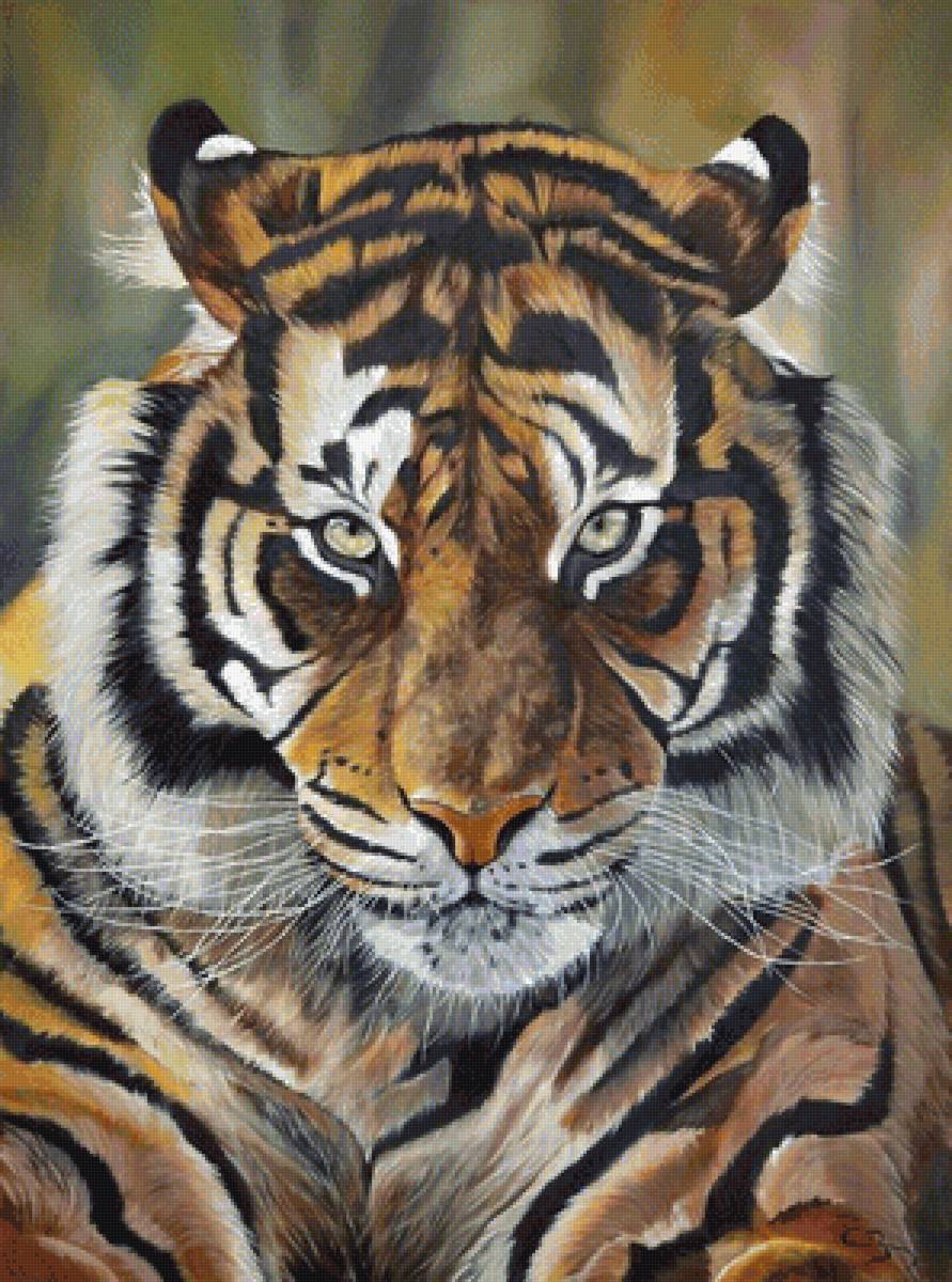 Тигр - животные - предпросмотр