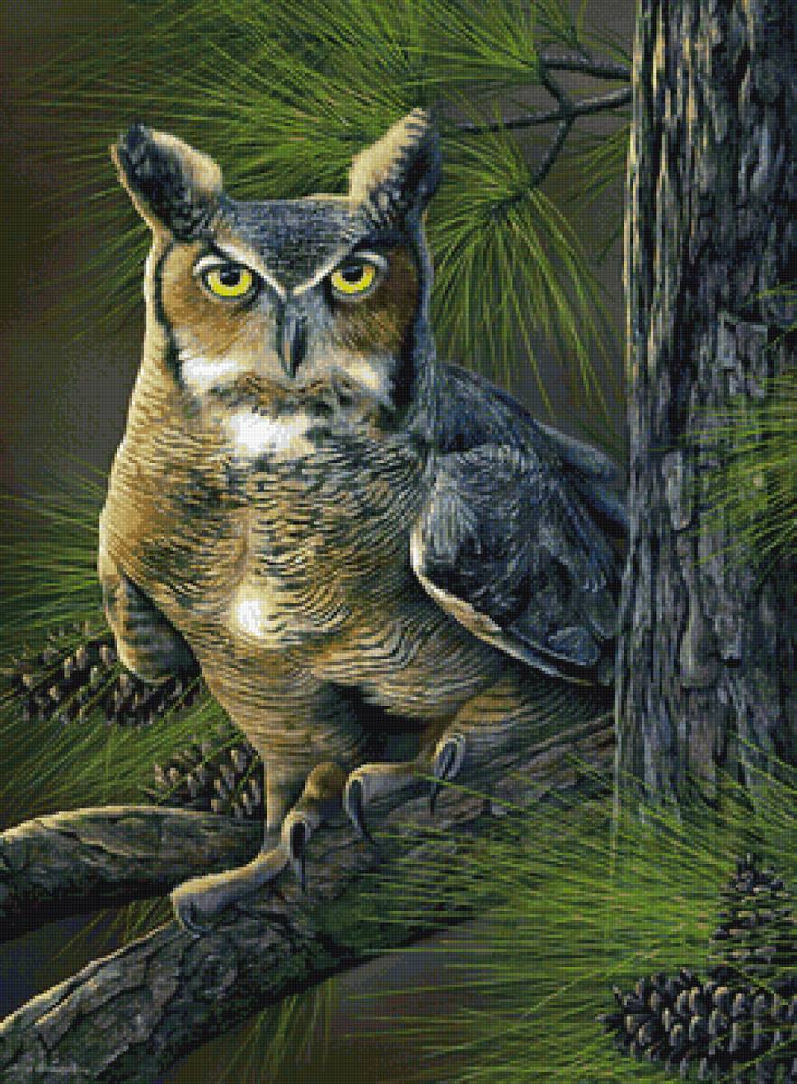 №1620695 - предпросмотр