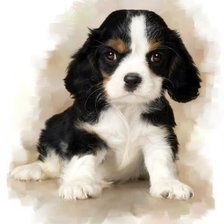 Схема вышивки «Щенок»