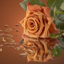 Схема вышивки «Роза в отражении»