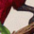 Предпросмотр схемы вышивки «Попугай» (№1620960)