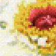 Предпросмотр схемы вышивки «Пионы» (№1620972)