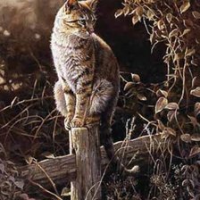 Схема вышивки «Одиночество»