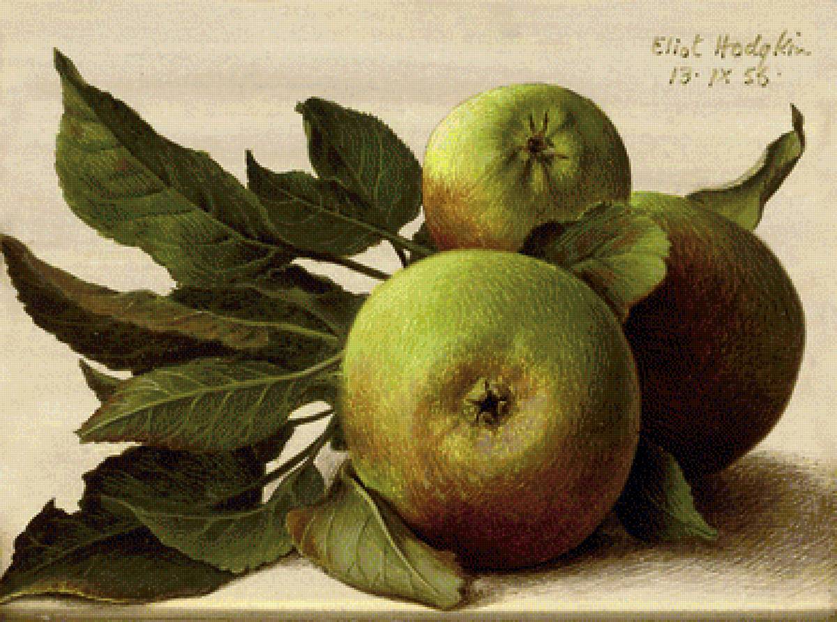 №1621004 - предпросмотр