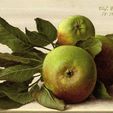 Схема вышивки «№1621004»