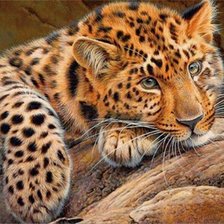 Схема вышивки «№1621063»