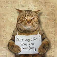 Схема вышивки «Кот»