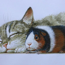 Схема вышивки «Кот и свин»