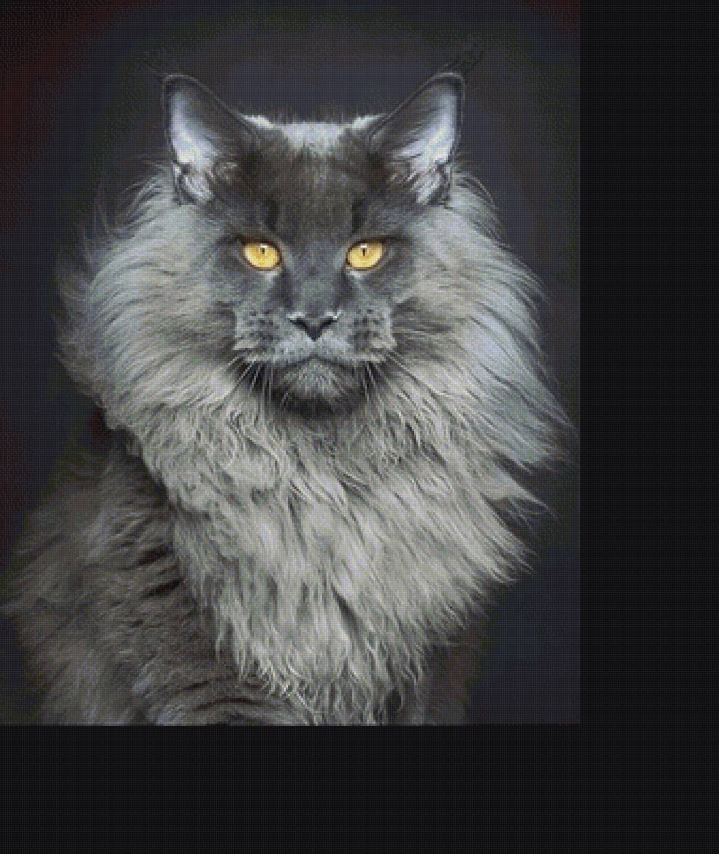 Я лев - животные - предпросмотр