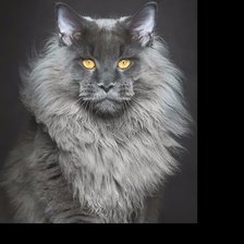 Схема вышивки «Я лев»