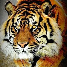 Схема вышивки «№1621177»