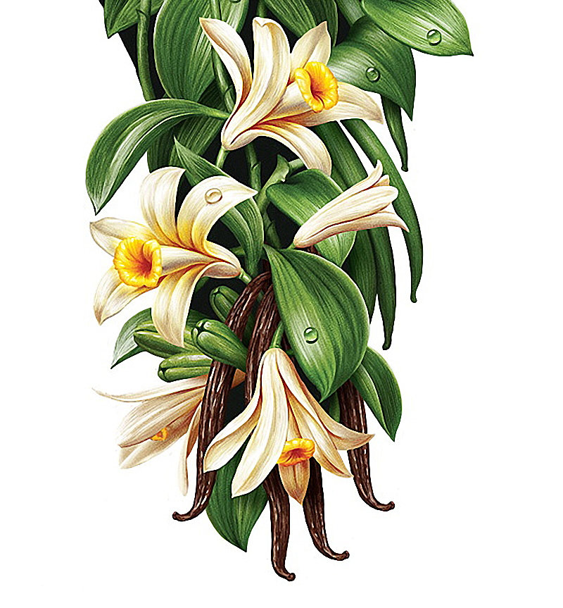 №1621539 - оригинал