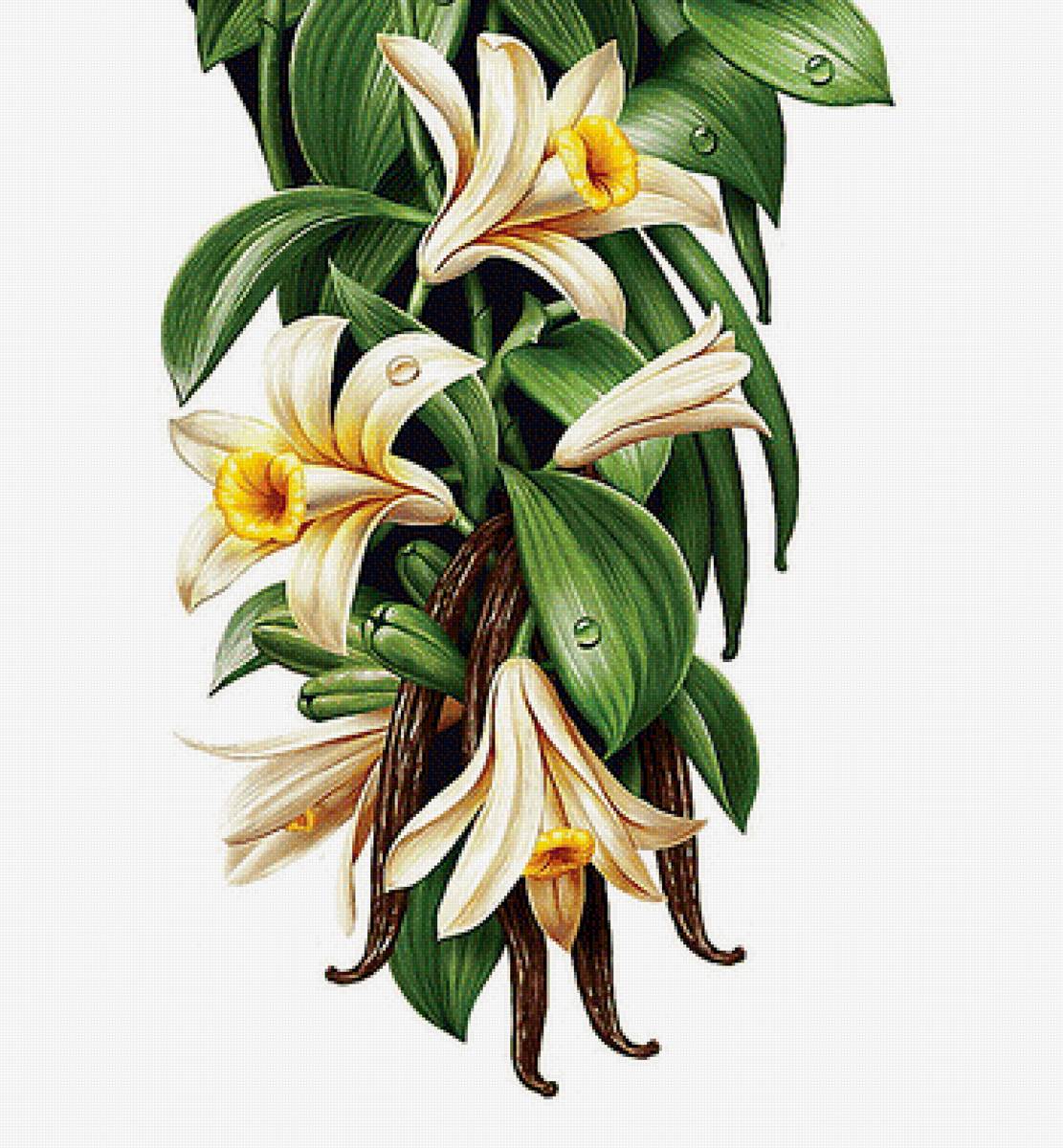 №1621539 - предпросмотр