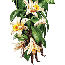 Схема вышивки «№1621539»