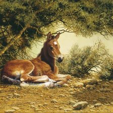 Схема вышивки «Жеребенок»