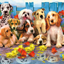 Схема вышивки «№1621778»