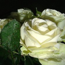 Схема вышивки «№1621873»