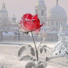 Схема вышивки «№1621994»