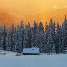 Схема вышивки «№1622014»
