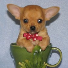 Схема вышивки «Кроха-дог в чашке»