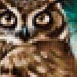Предпросмотр схемы вышивки «Совы» (№1622151)