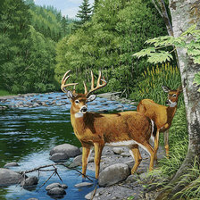 Схема вышивки «Природа»