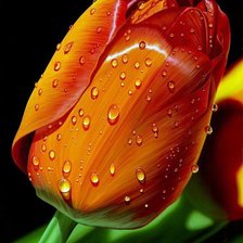 Схема вышивки «№1622241»