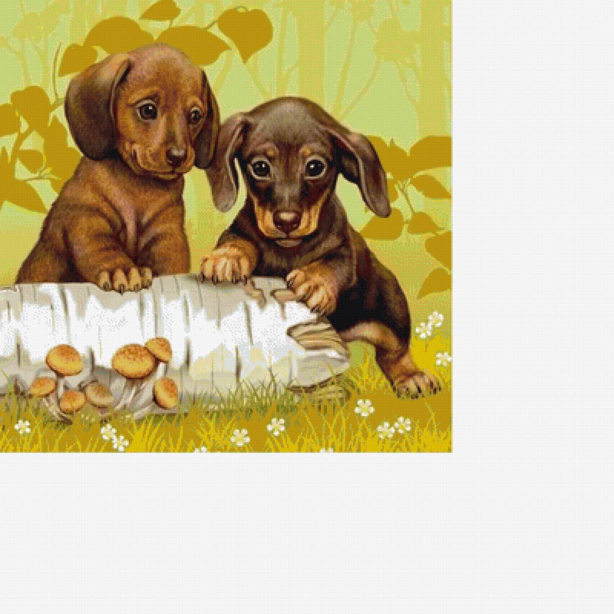 №1622357 - предпросмотр