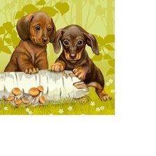 Схема вышивки «№1622357»