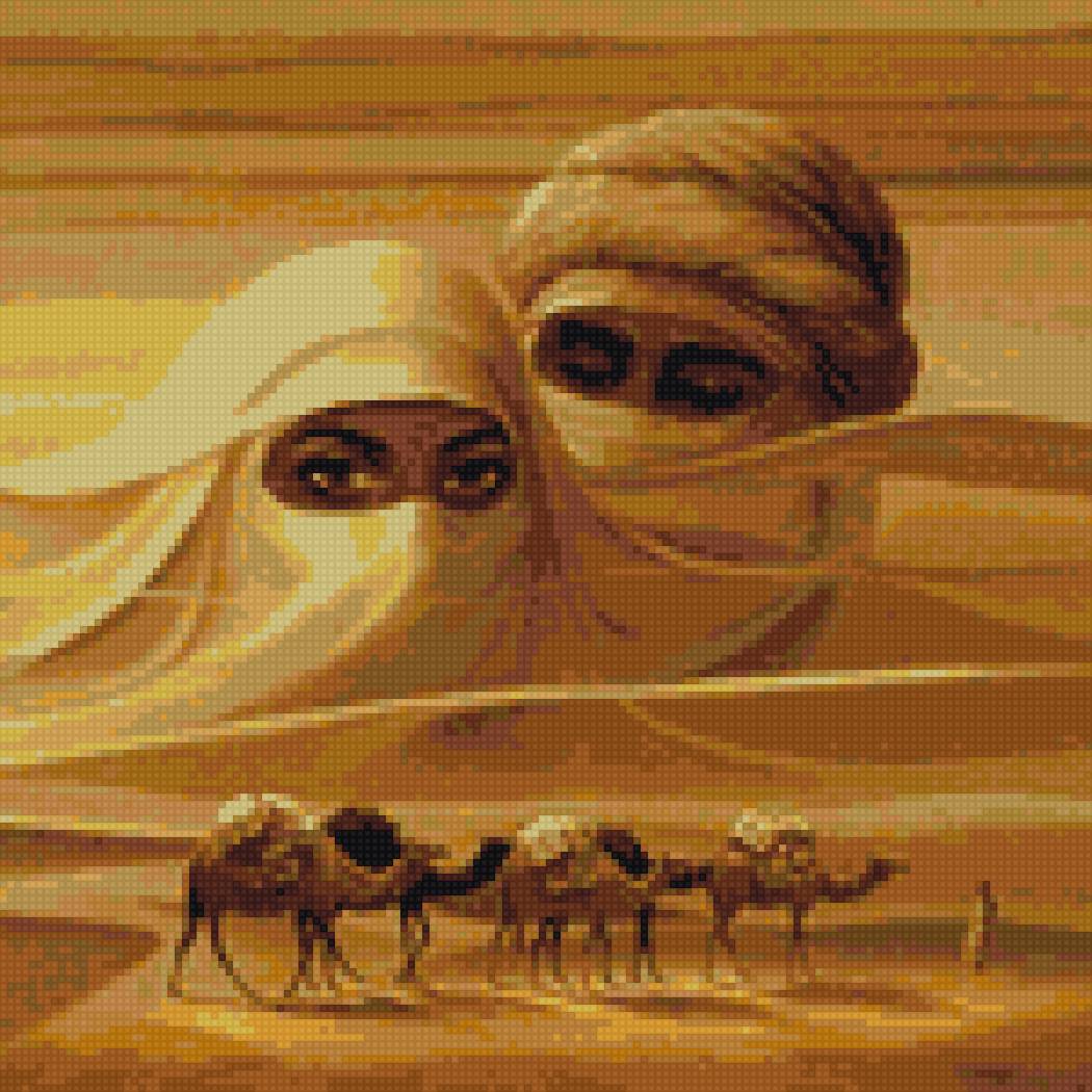 глаза пустини - сахара, взгляд - предпросмотр