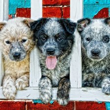 Схема вышивки «№1622505»