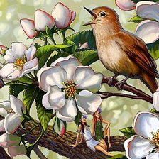 Схема вышивки «Птичка певчая»