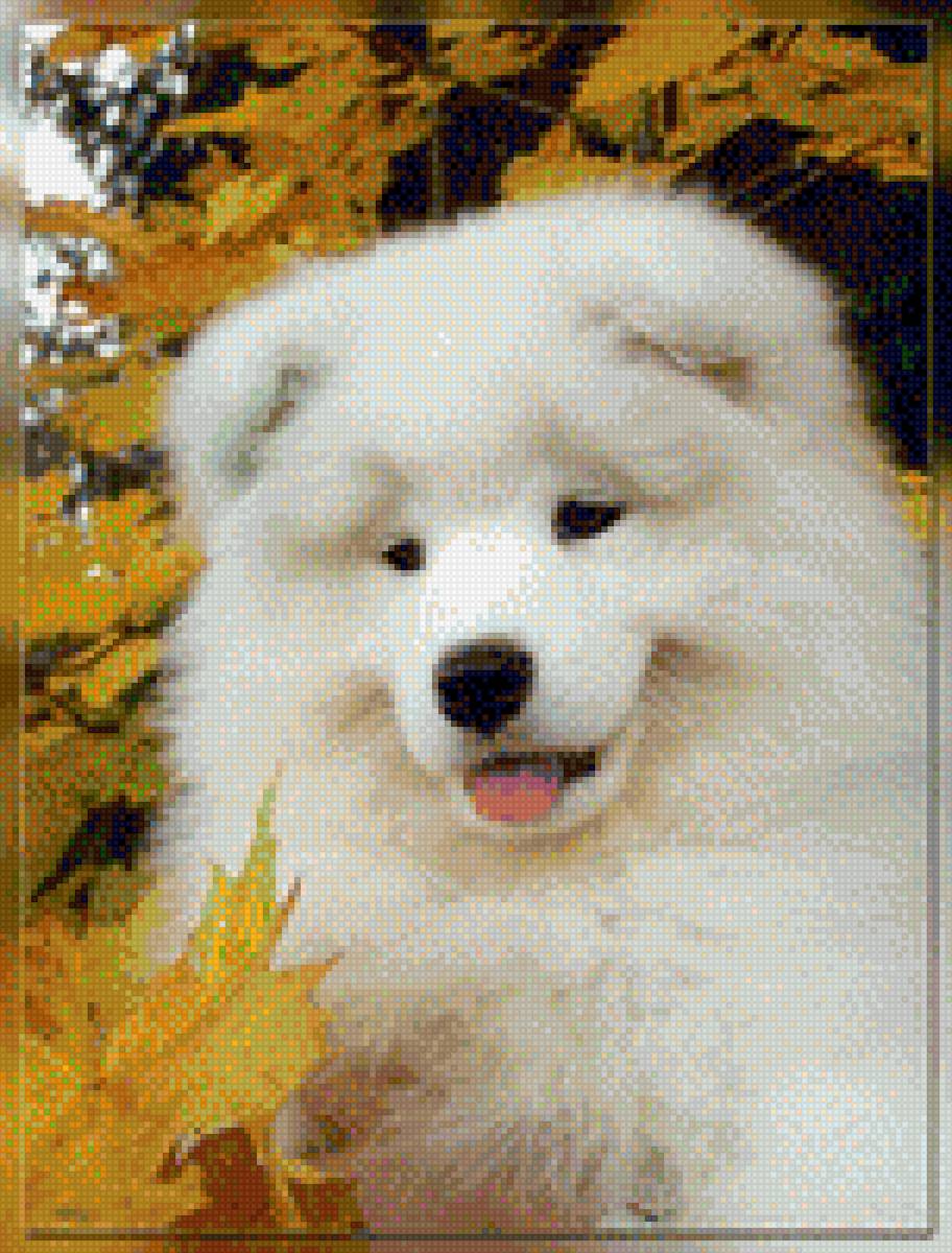 Собачка - собачка - предпросмотр