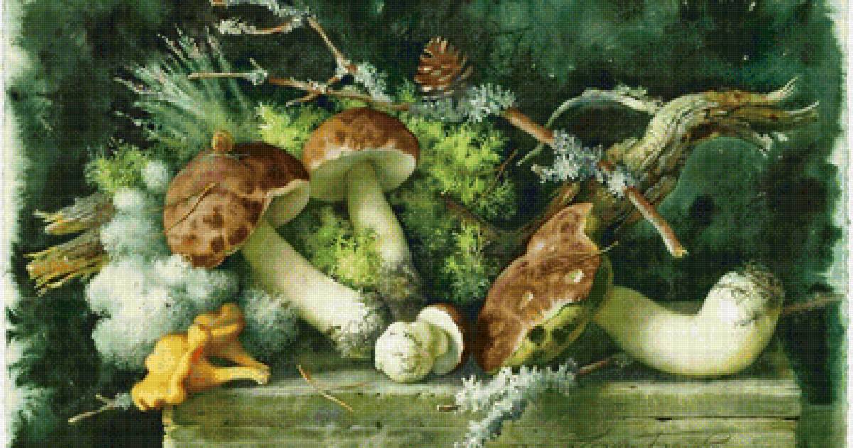 Грибы - предпросмотр