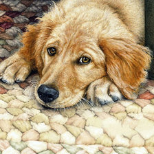 Схема вышивки «Собака»