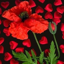 Схема вышивки «№1622793»