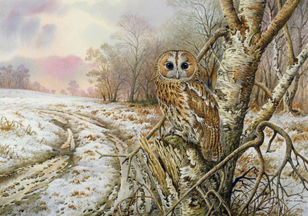 сова - пейзаж, природа, зима - предпросмотр