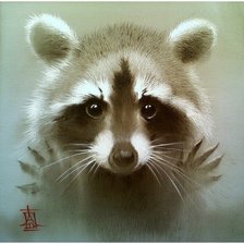 Схема вышивки «енот»