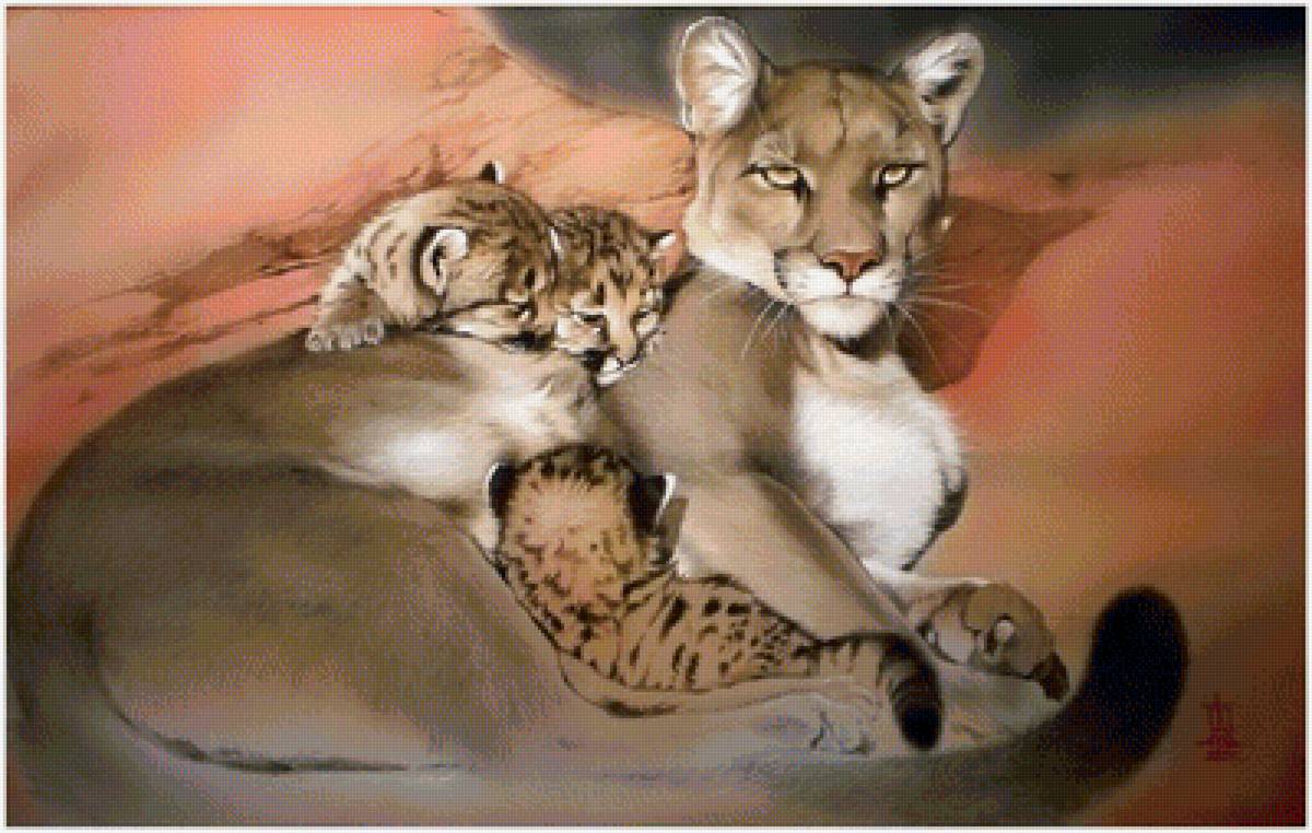 пума - животные - предпросмотр