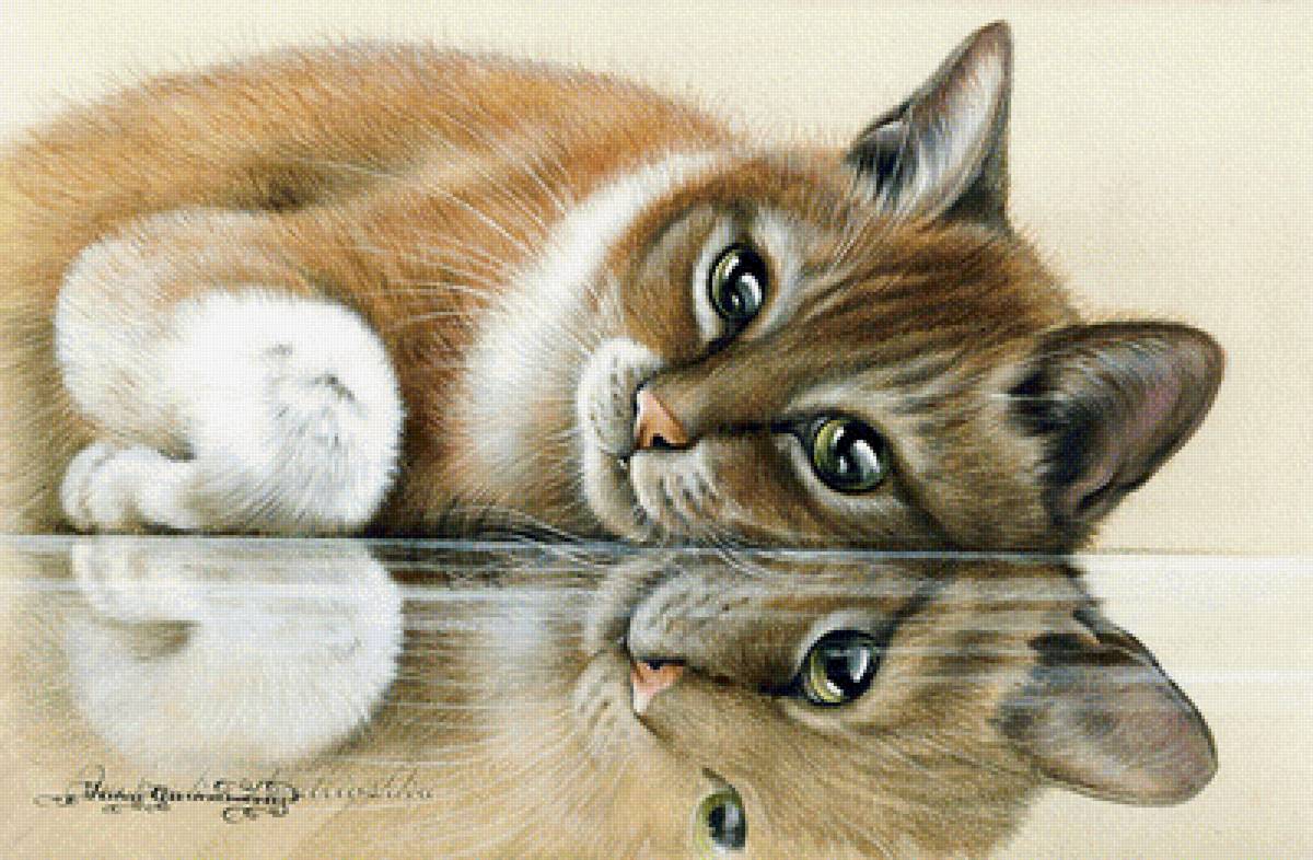 Отражение - коты - предпросмотр