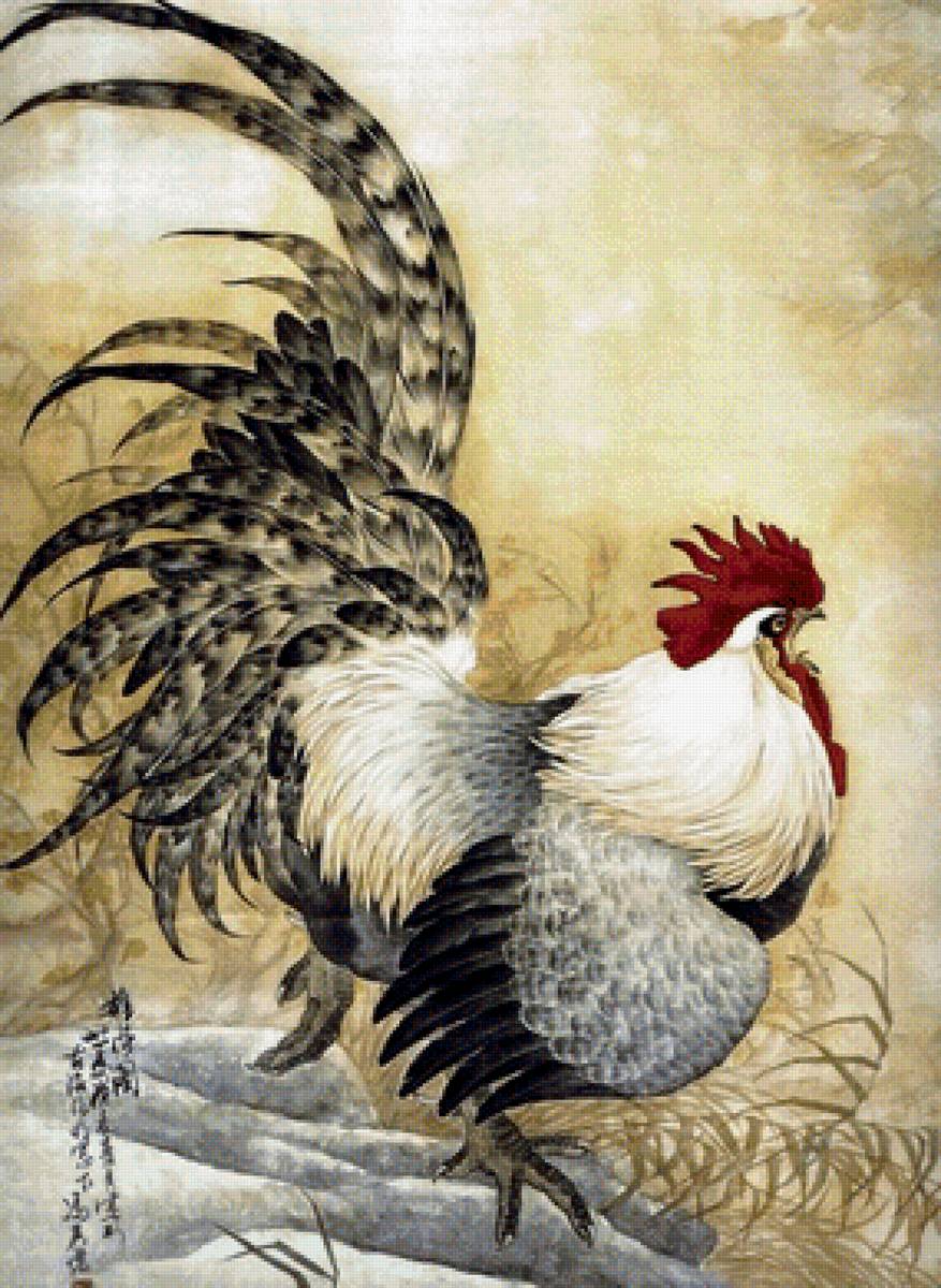 Петух - предпросмотр