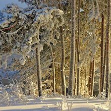 Схема вышивки «№1623351»