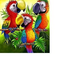 Схема вышивки «попугаи»