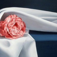 Схема вышивки «№1623458»