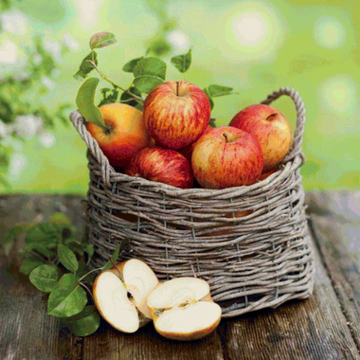 №1623495 - предпросмотр